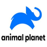 Animal Planet HD