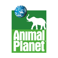 Animal Planet 4K HD | NL ❆²