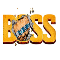 DE: Movies BOSS 1HD